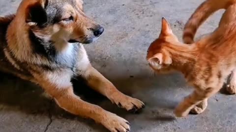 Frindship
