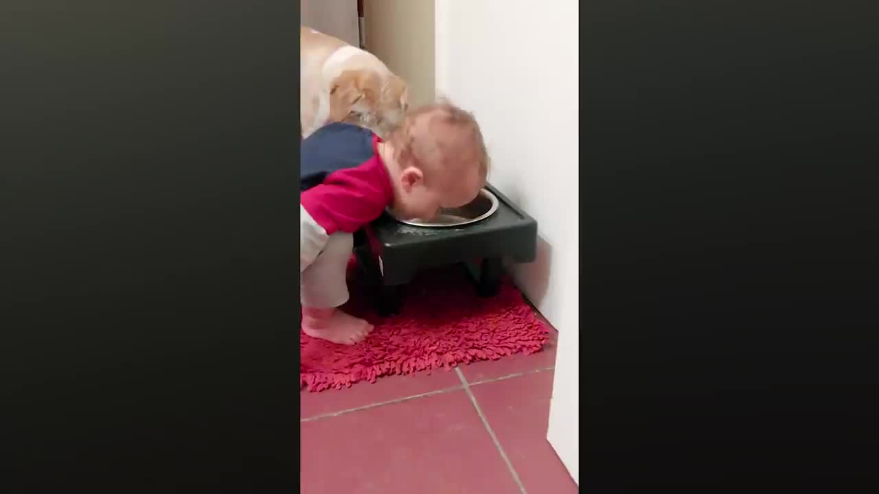 Cute baby playing with dog