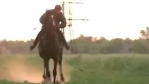 The horse overturned the rider