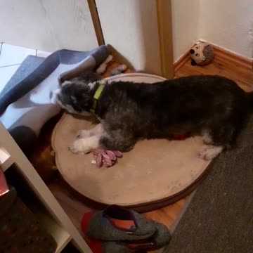 Tyapa is furious, Kuzya is in shock. And then we will put things in order.