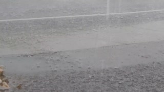 Rain and Lightning in Bridgeport