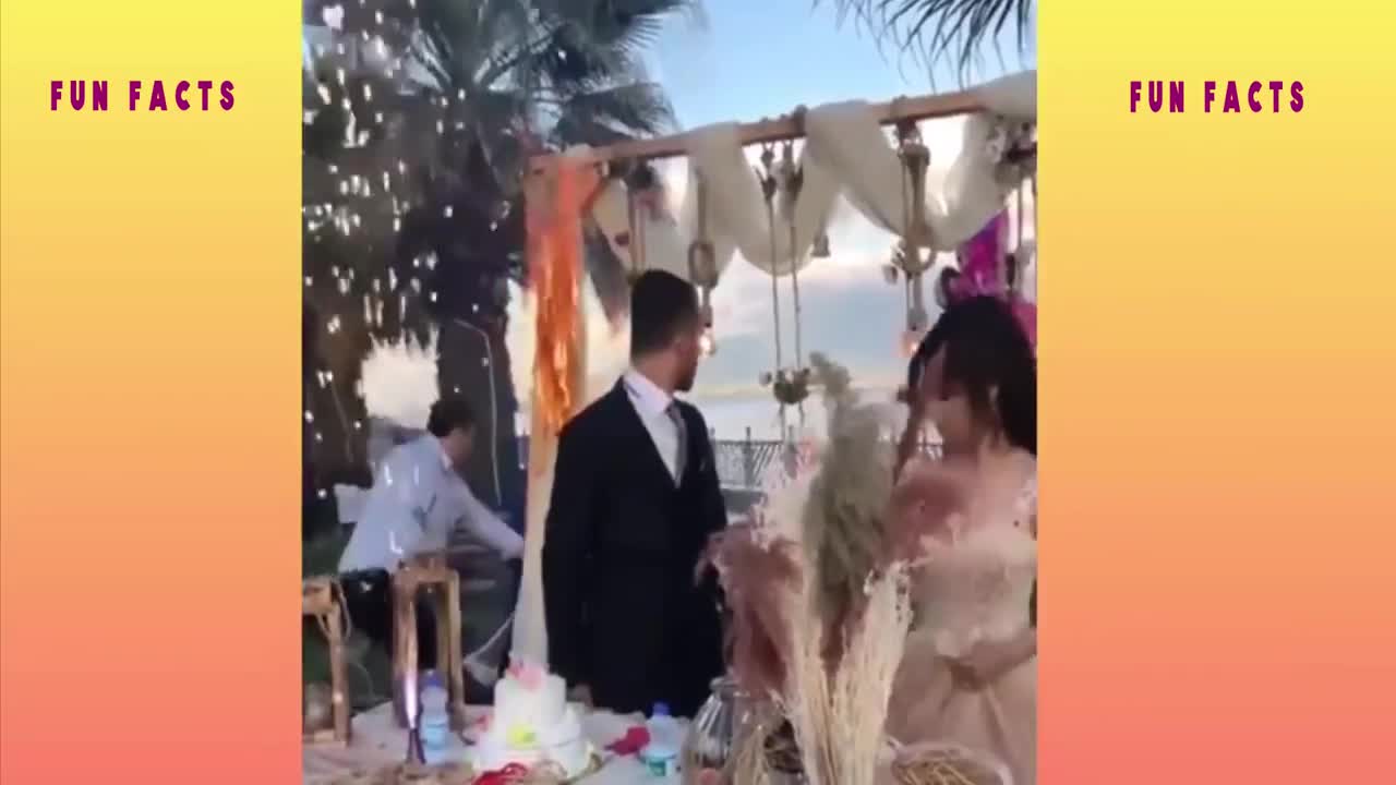 Comedy Video - Very Funny