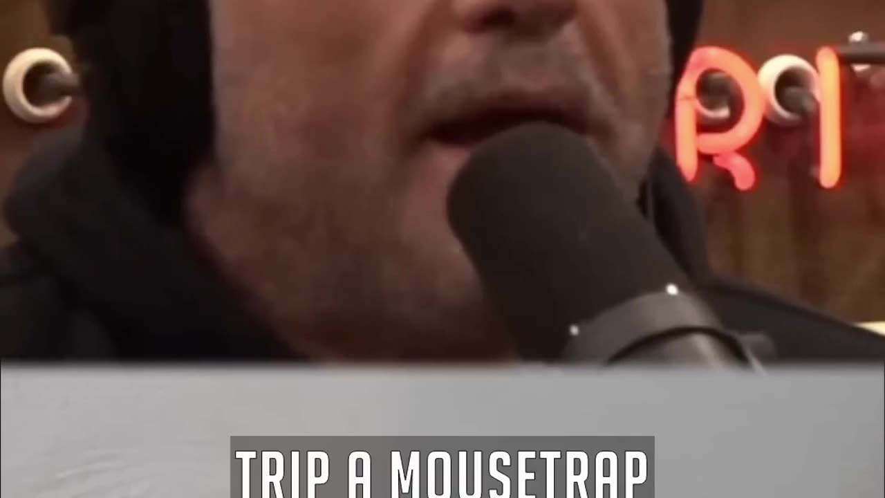 Clever rate trips trap with a stick