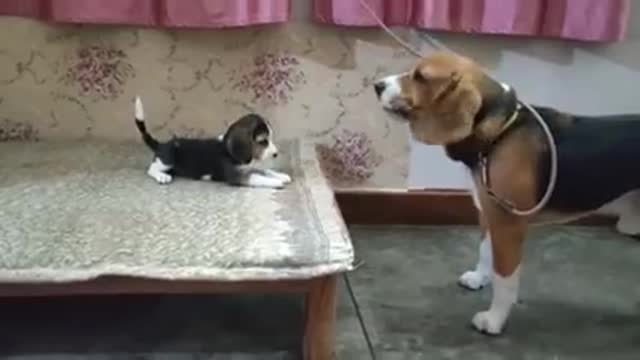 Dееp соnvеrsatiоn bеtwееn fathеr daughtеr