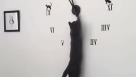 Cat play with clock