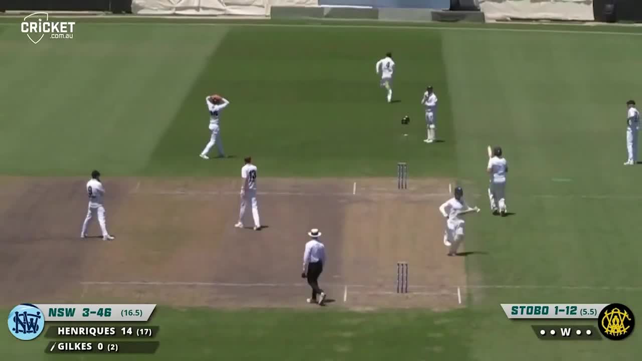 Rocchiccioli and Moody clean up as WA defeat hapless NSW | Sheffield Shield 2022-23