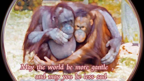 What“s no boundaries in the world