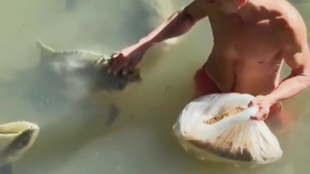 Friendship with Fish😱😱 OMG Video