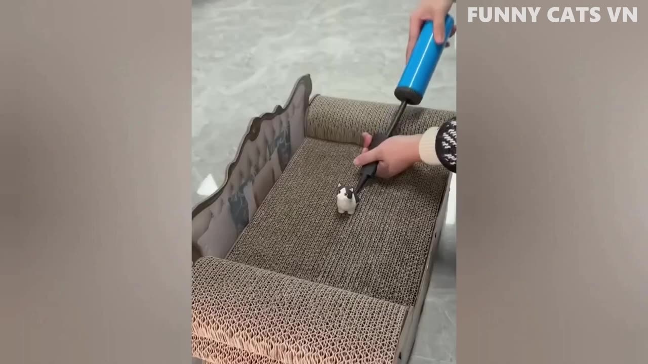 Best Funny cats & dogs videos 2023