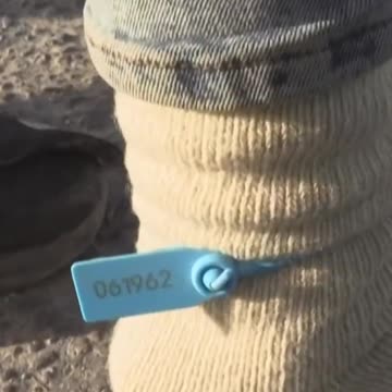 Palestinian workers released but tagged like animals