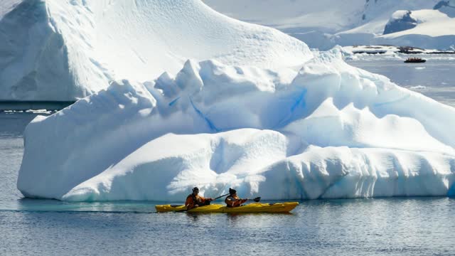 Cruise to Antarctica