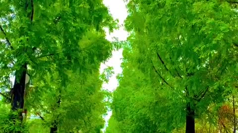 Beautiful scenery. Come and have a look