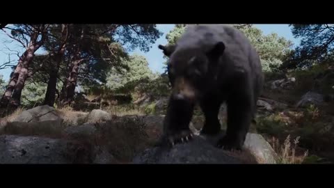 Wild bear attack lady then eating