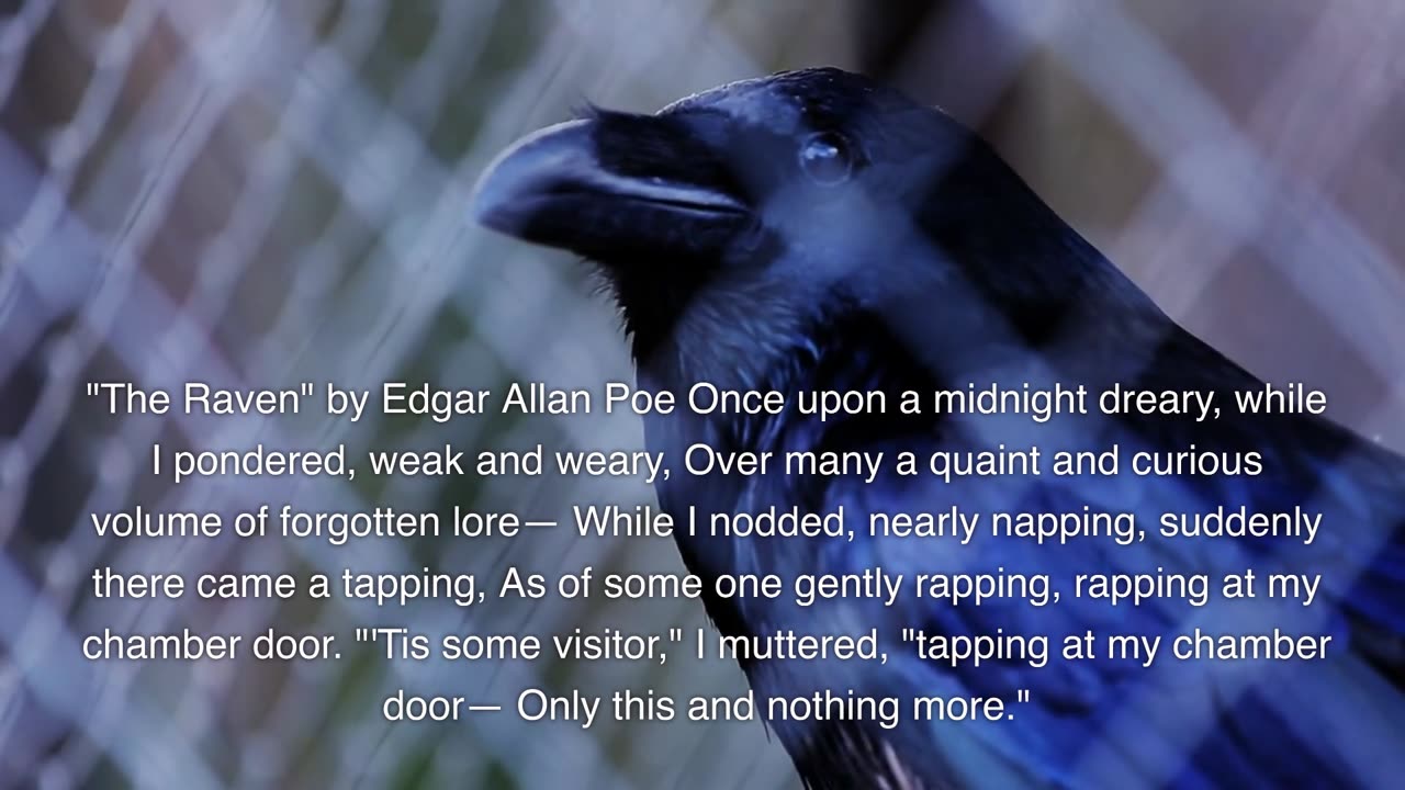 The Raven