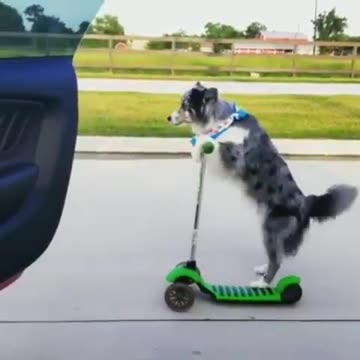 Nobody gonna top this