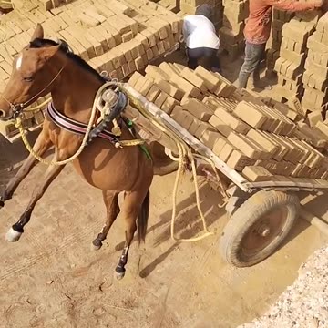 OMG WHAT THEY WAS DOING