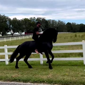 Faster Than A Ferrari