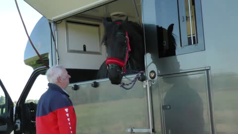 Friesian Horse Apollo goes on a Pleasure Ride