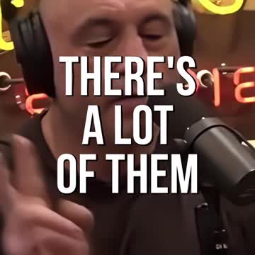 Joe Rogan, Trans People Regretting Changing Their Gender