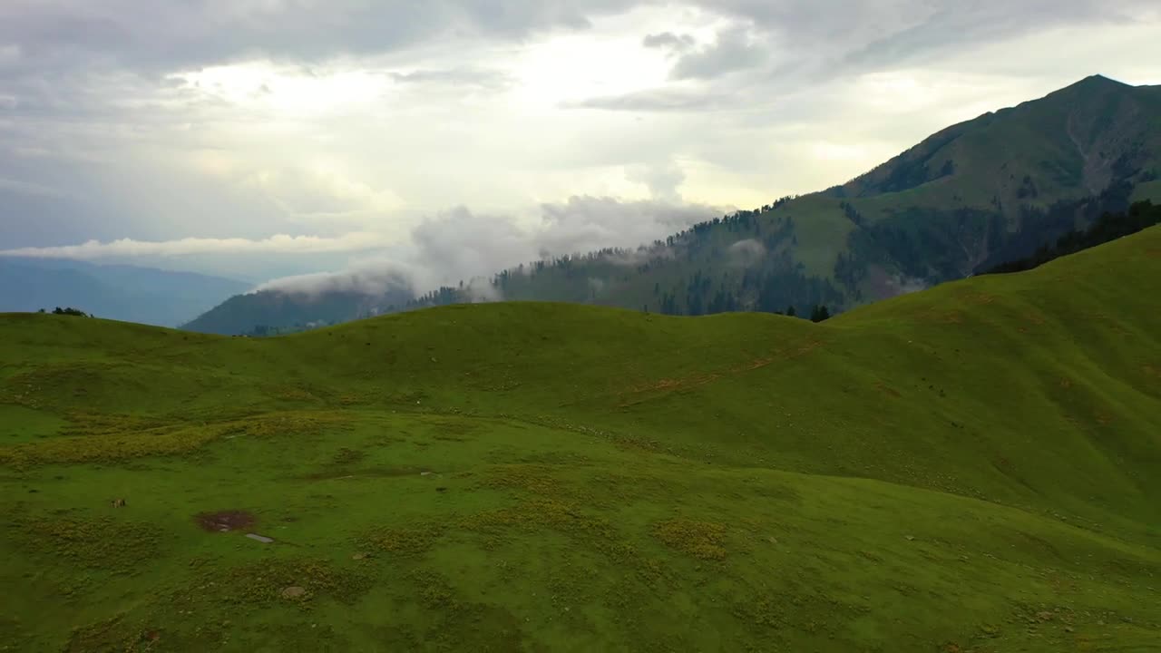 Palanchai Meadows