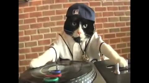 DJ Kitty - the REAL Original!