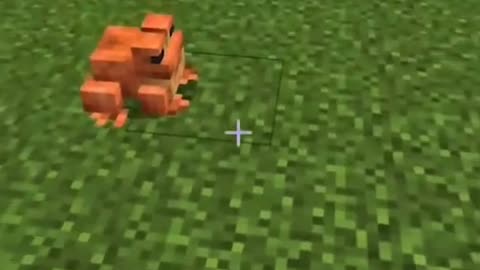 Minecraft frog... ||👇🤤🎊@minecraftmemes.hacks