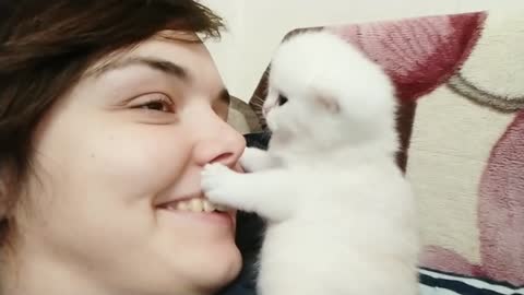 Cuteness Overload | Little Kitten Kisses Me 21 Days After Birth