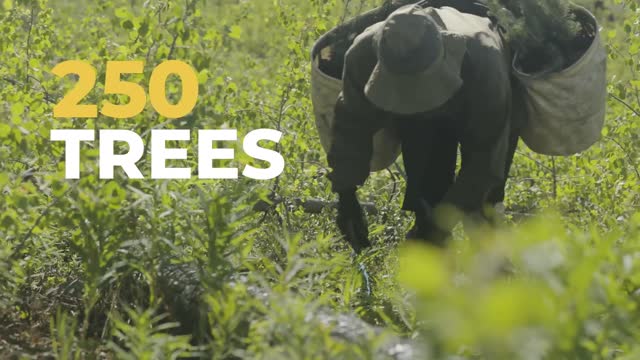 Planting Trees with Tony Kemp One Tree Planted