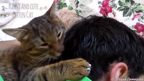Have the love of a cat is to have the world - Cute ways cats show their love for owner