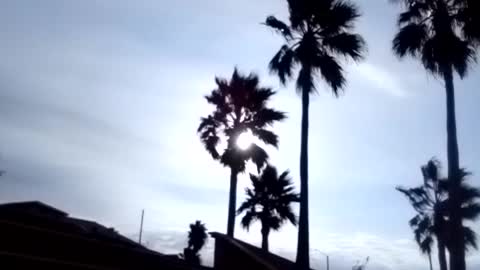 Sun, Wind = Love, Joy