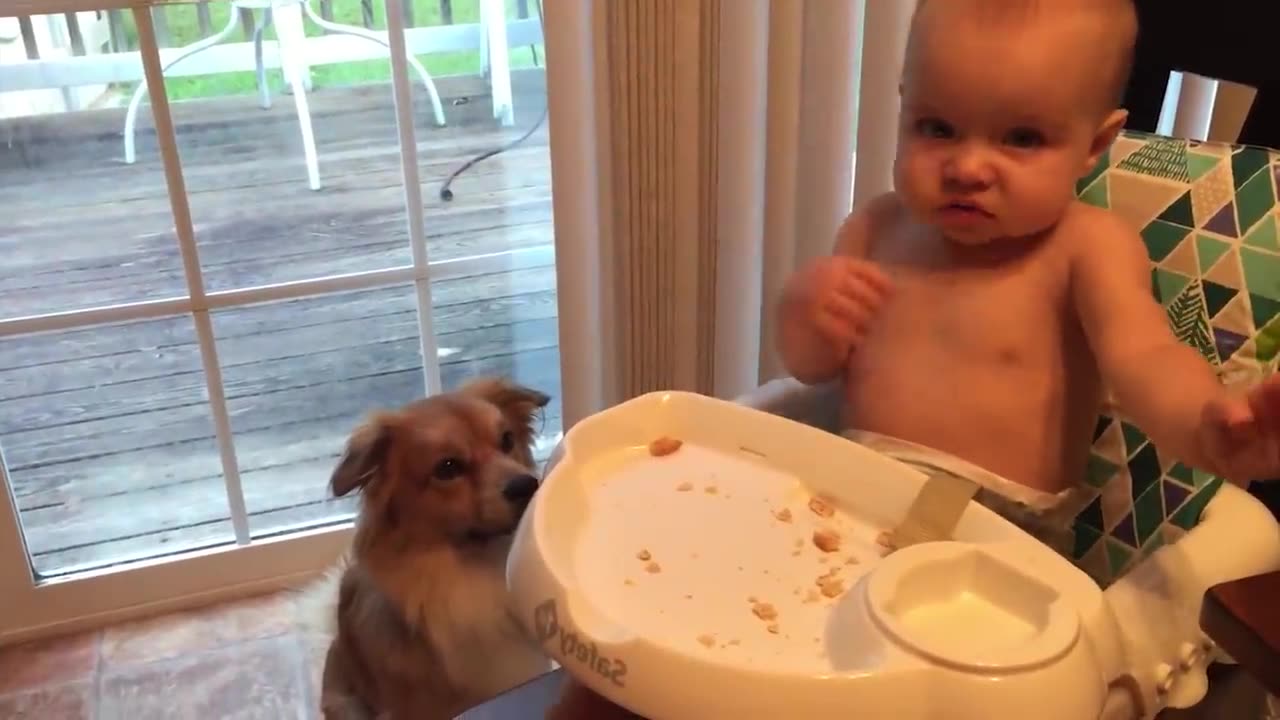 Cutest Babies Playing with Cutest dogs 😍🐕 And Cat's 💕😍