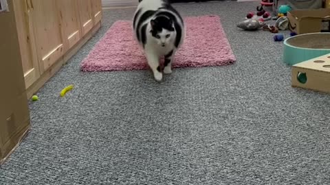 I can hear that sound from a mile away!