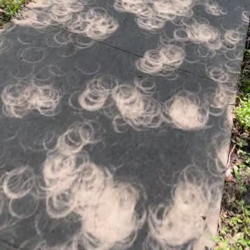 People reporting strange things happening during the eclipse?