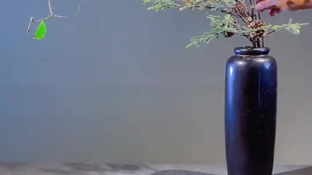Ikebana 070: Oriental Style Natural Flower Arrangement Artistic Creativity