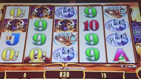 Buffalo slots