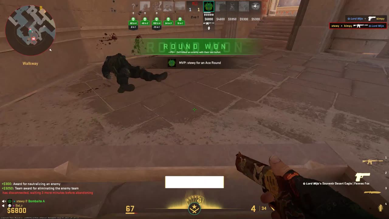 Acin in Counter-Strike 2