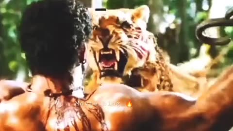 Tiger fight scene 😱