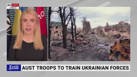 Ukraine need tanks not for 'offence' but to 'defend'