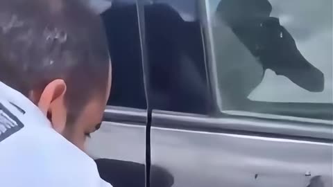 A poor desperate Cat rescued during Hurricane Helene...