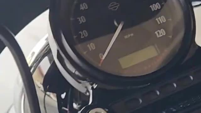 2022 Harley 48 semi customized