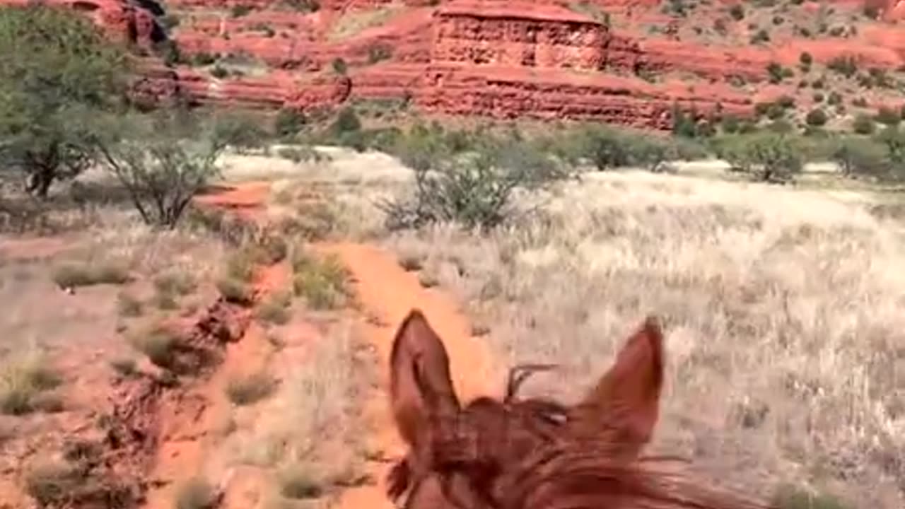 Through the canyons