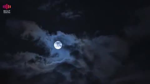 Feel the moon_ sleep music & relaxing music 🎶🎶