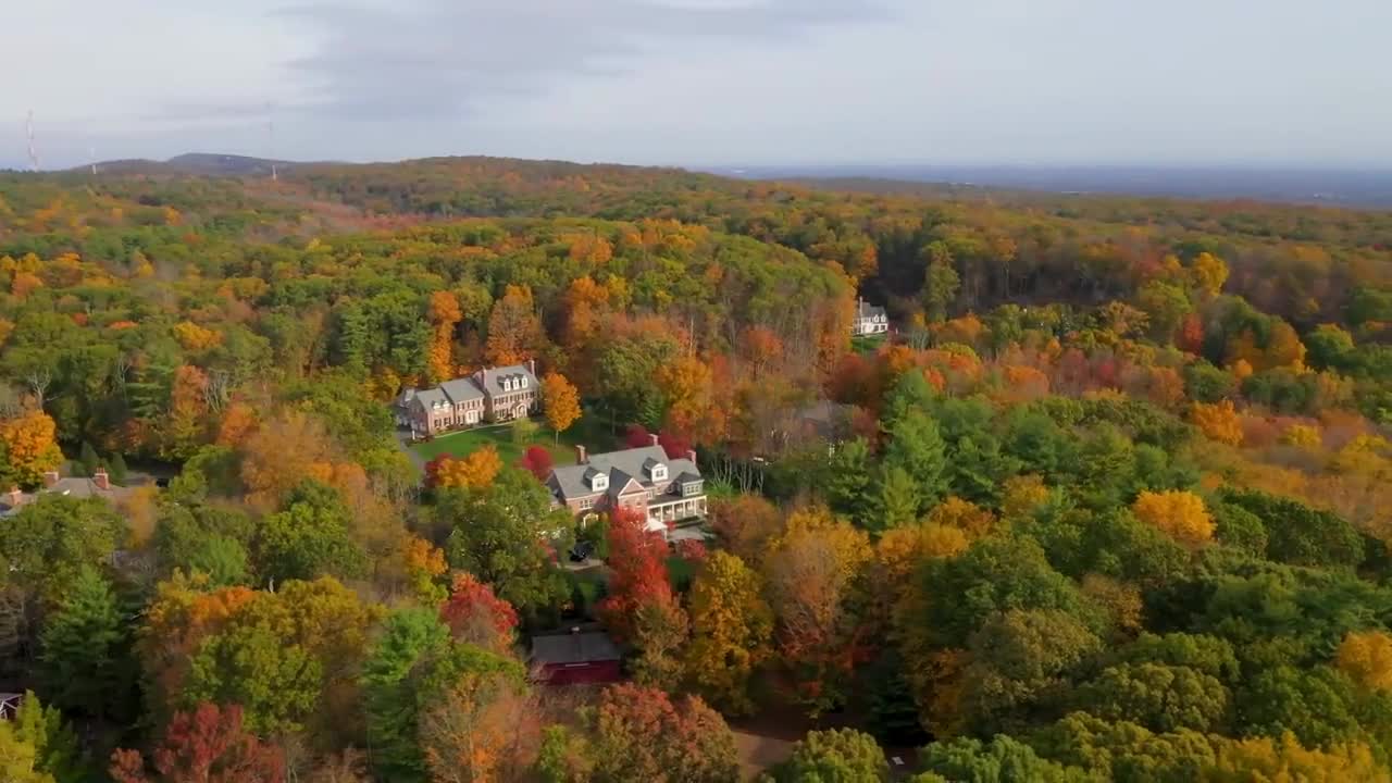 Enchanting Autumn Forests with Beautiful Piano Music