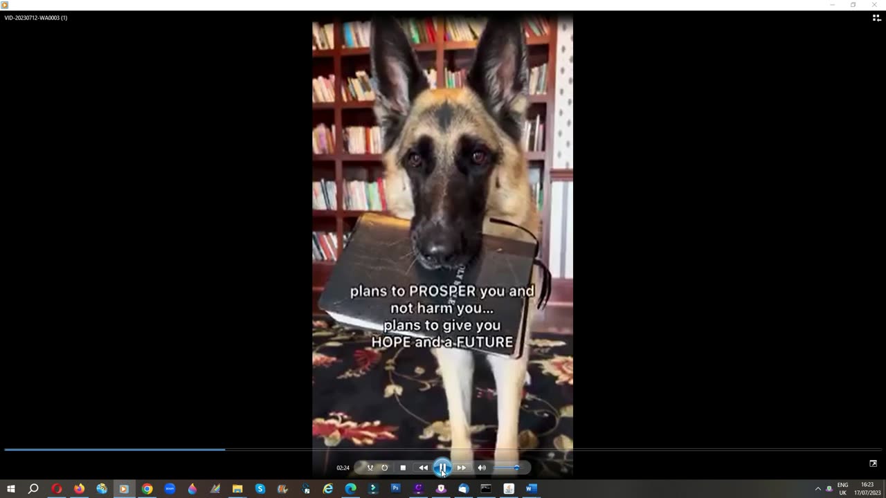 Anya's Reminder Kit 15-07-23