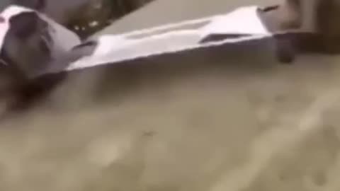 Monkey🐒🙈 Fun😃