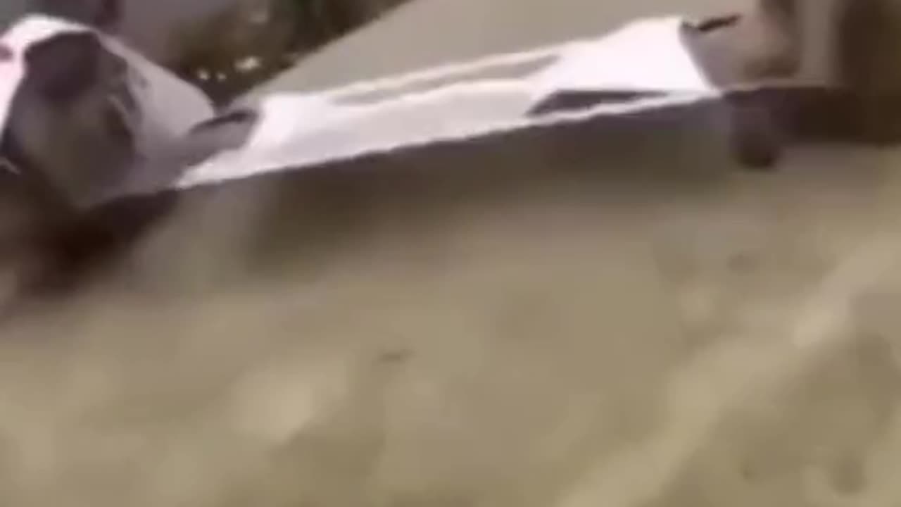 Monkey🐒🙈 Fun😃