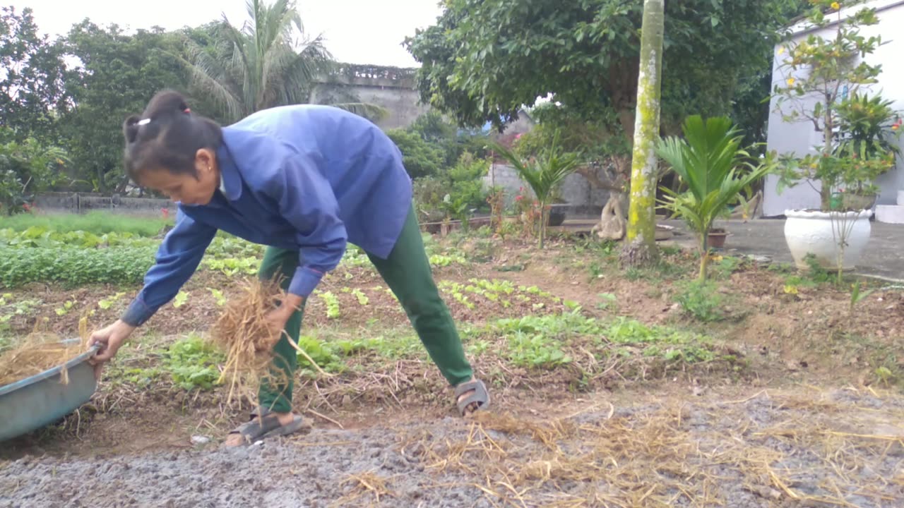 farmer gardening and meow meow