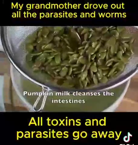 The Anti-Parasitic Power of Pumpkin SeedsPumpkin Milk Home Brew Remedy