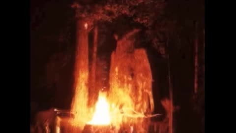 When Alex Jones Snuck into Bohemian Grove - Full Hidden Footage!