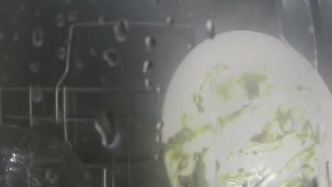 Dishwasher operation - very satisfying to watch